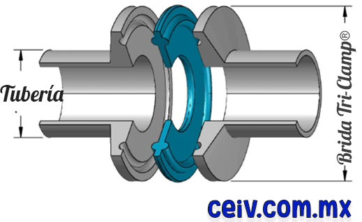 Imagen de diámetros conexión tri clamp 